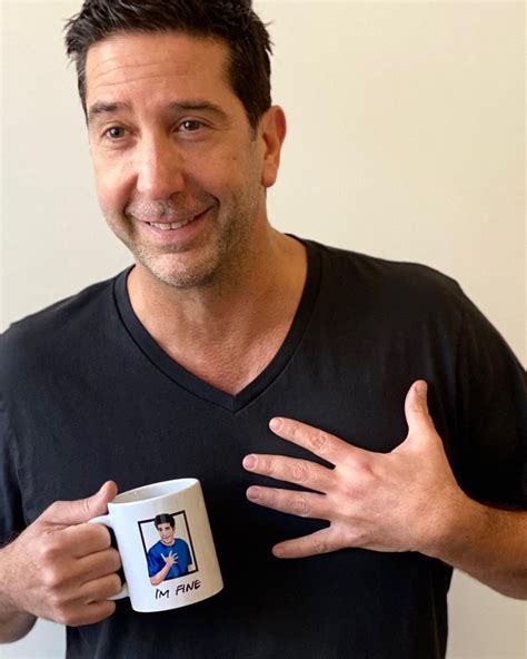 david schwimmer instagram